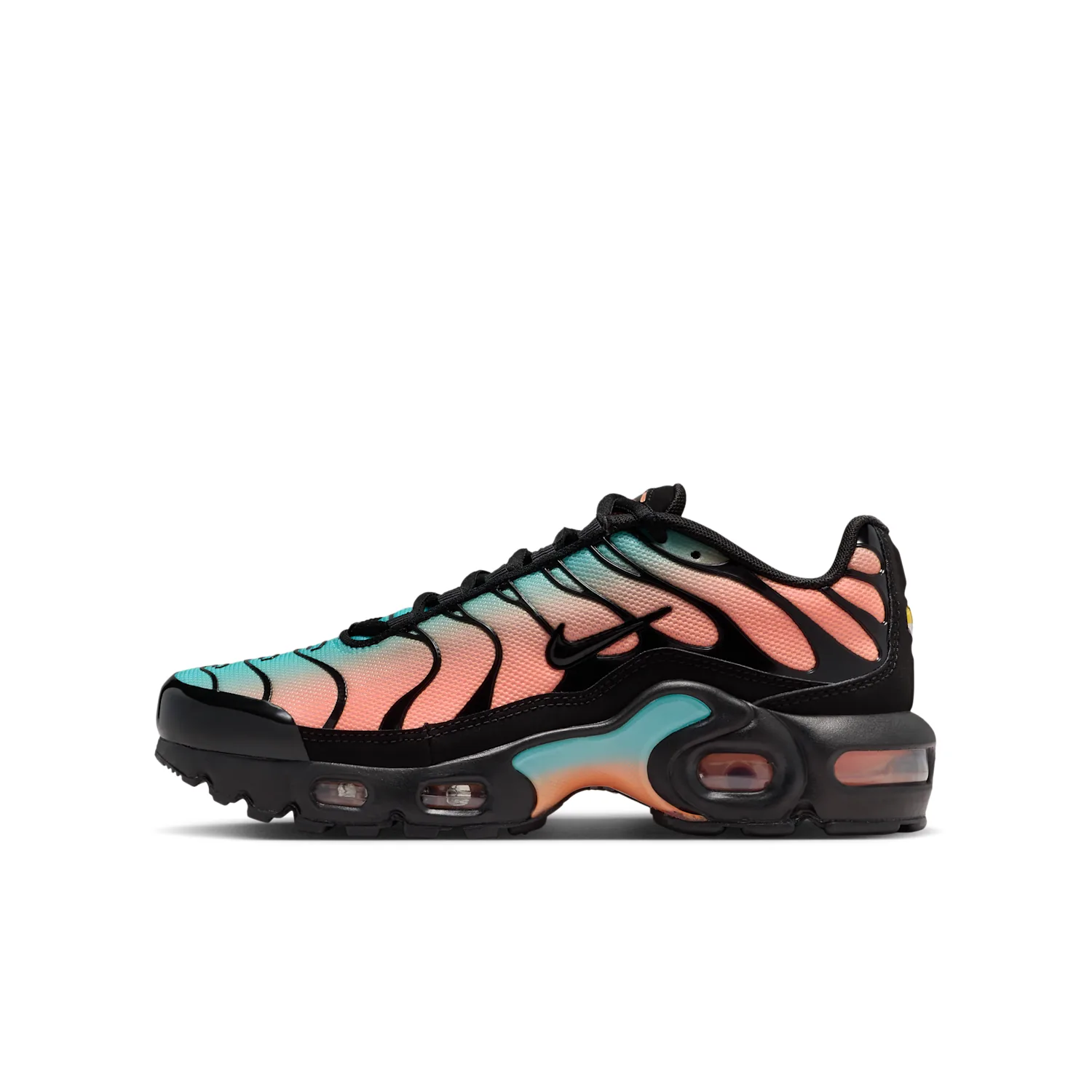 Nike Air Max Plus