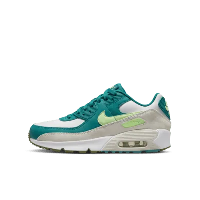 Nike Air Max 90 LTR