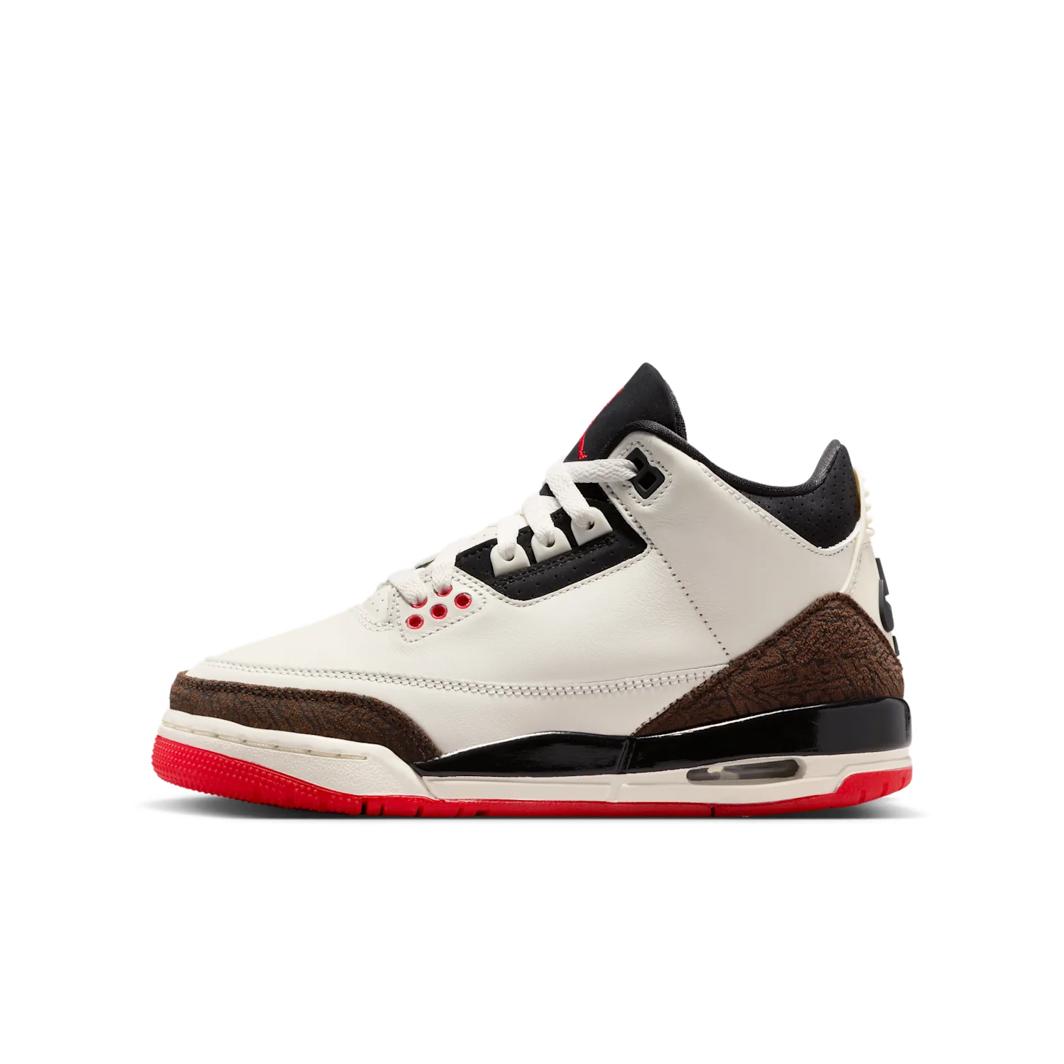 Air Jordan 3 Retro
