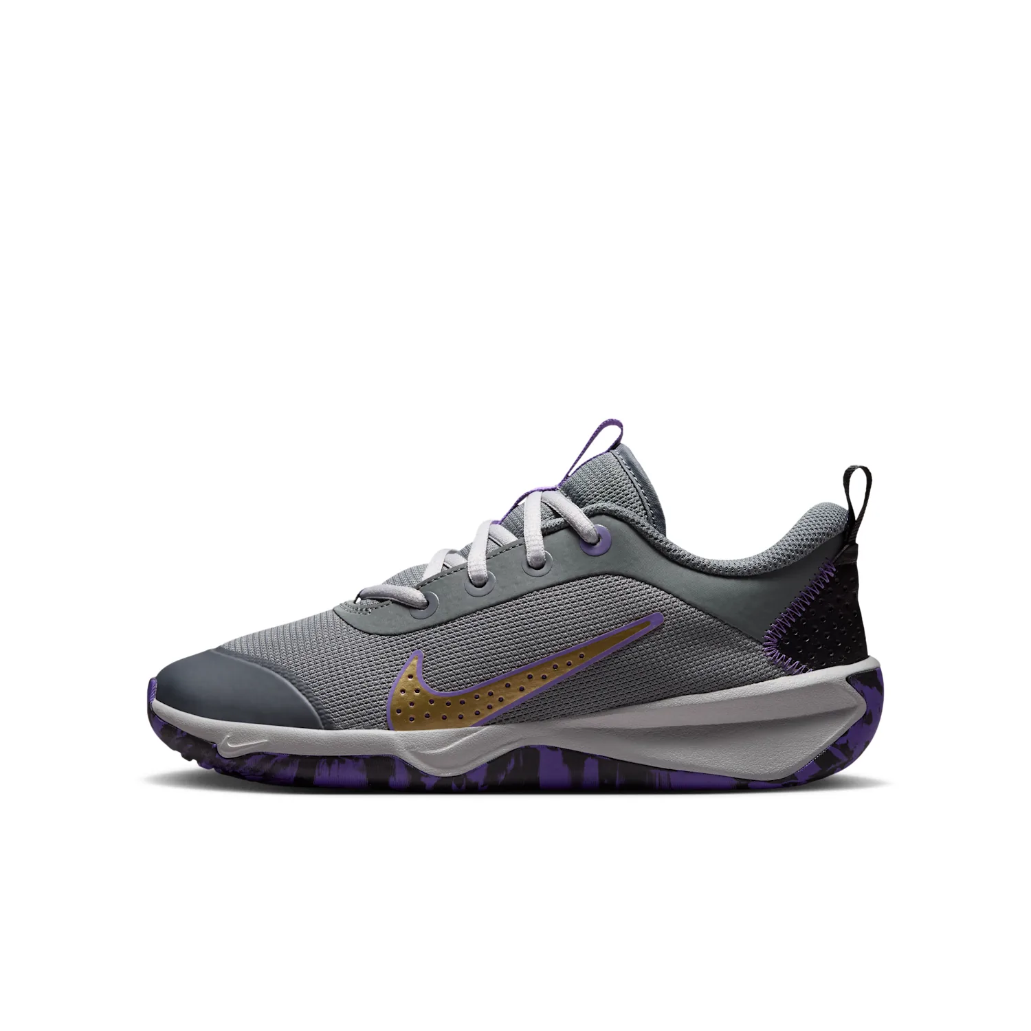 Nike Omni Multi-Court