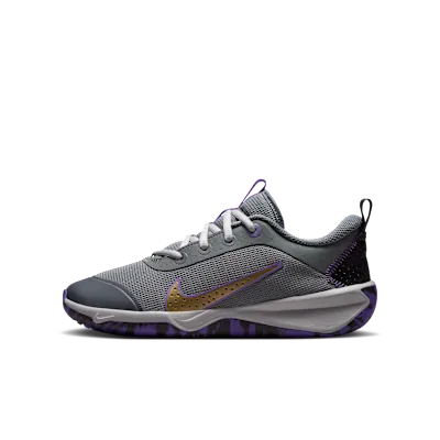 Nike Omni Multi-Court