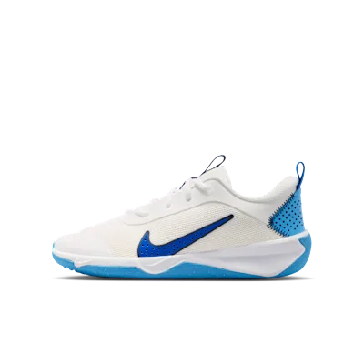 Nike Omni Multi-Court