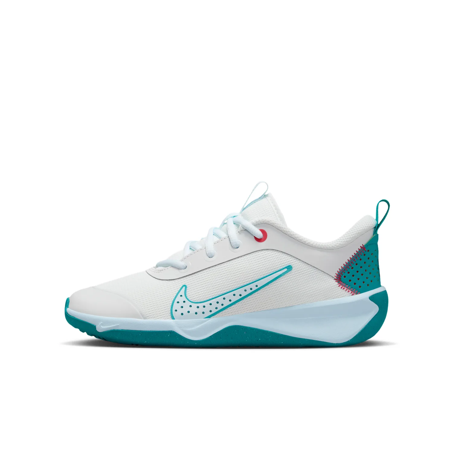 Nike Omni Multi-Court