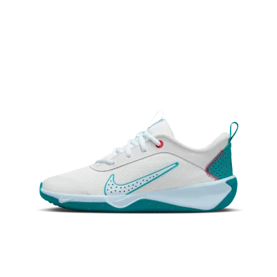 Nike Omni Multi-Court