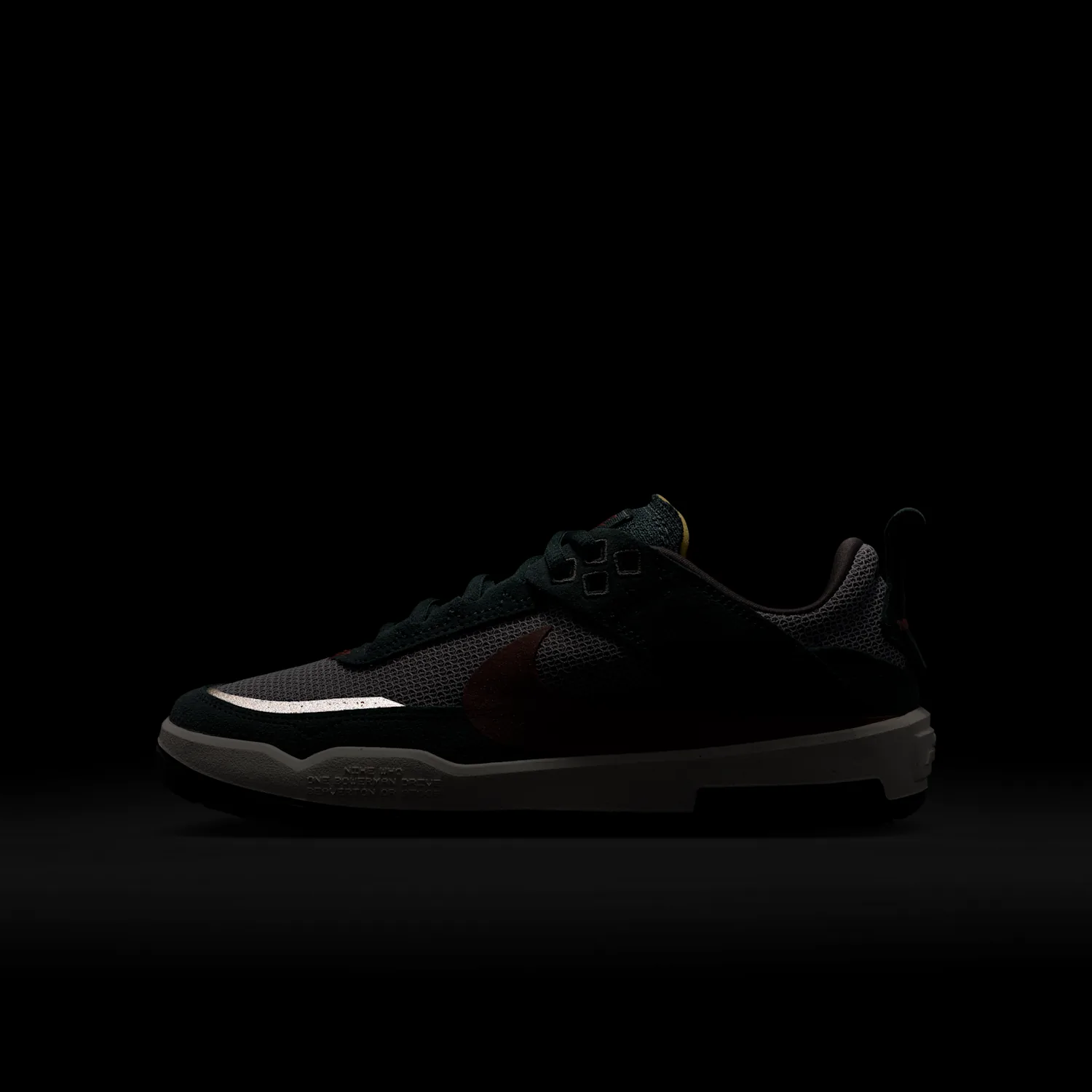 Nike SB Day One image 9