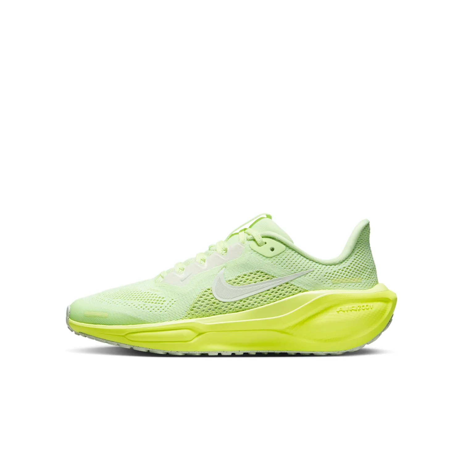 Nike Pegasus 41
