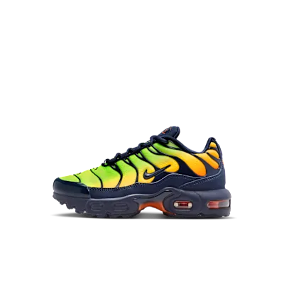 Nike Air Max Plus