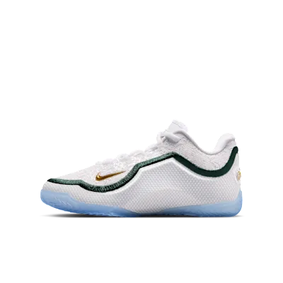 LeBron XXIII "From This Point Forward"