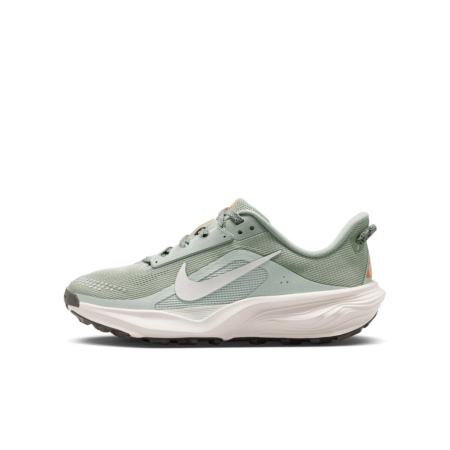 Nike ACG Pegasus Trail