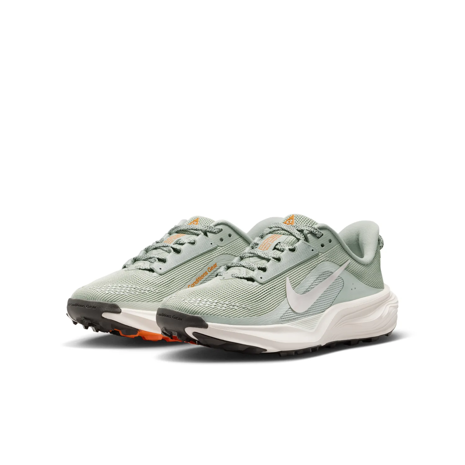 Nike ACG Pegasus Trail image 6