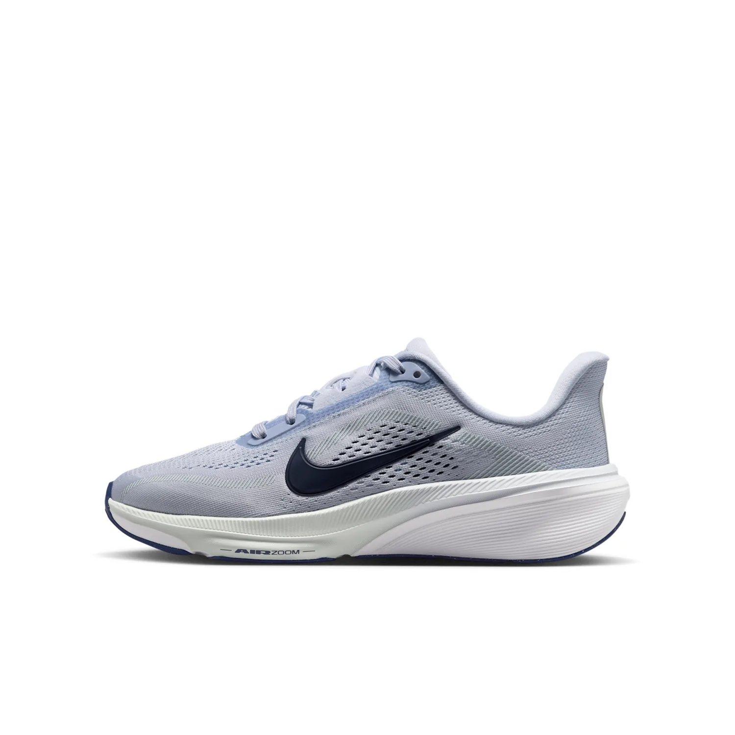 Nike Pegasus 42