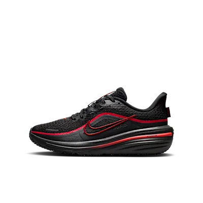 Nike Winflo 12
