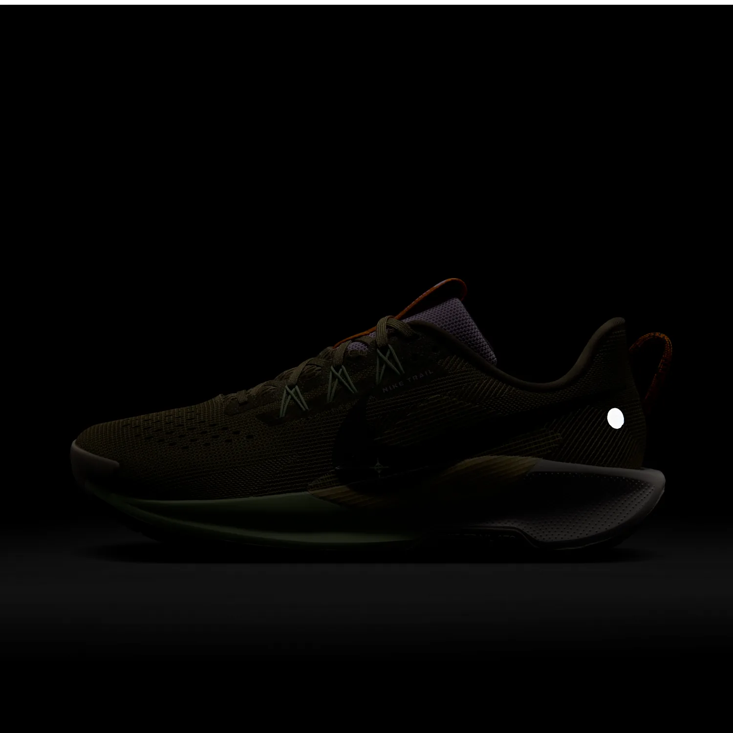 Nike Pegasus Trail 5 image 3