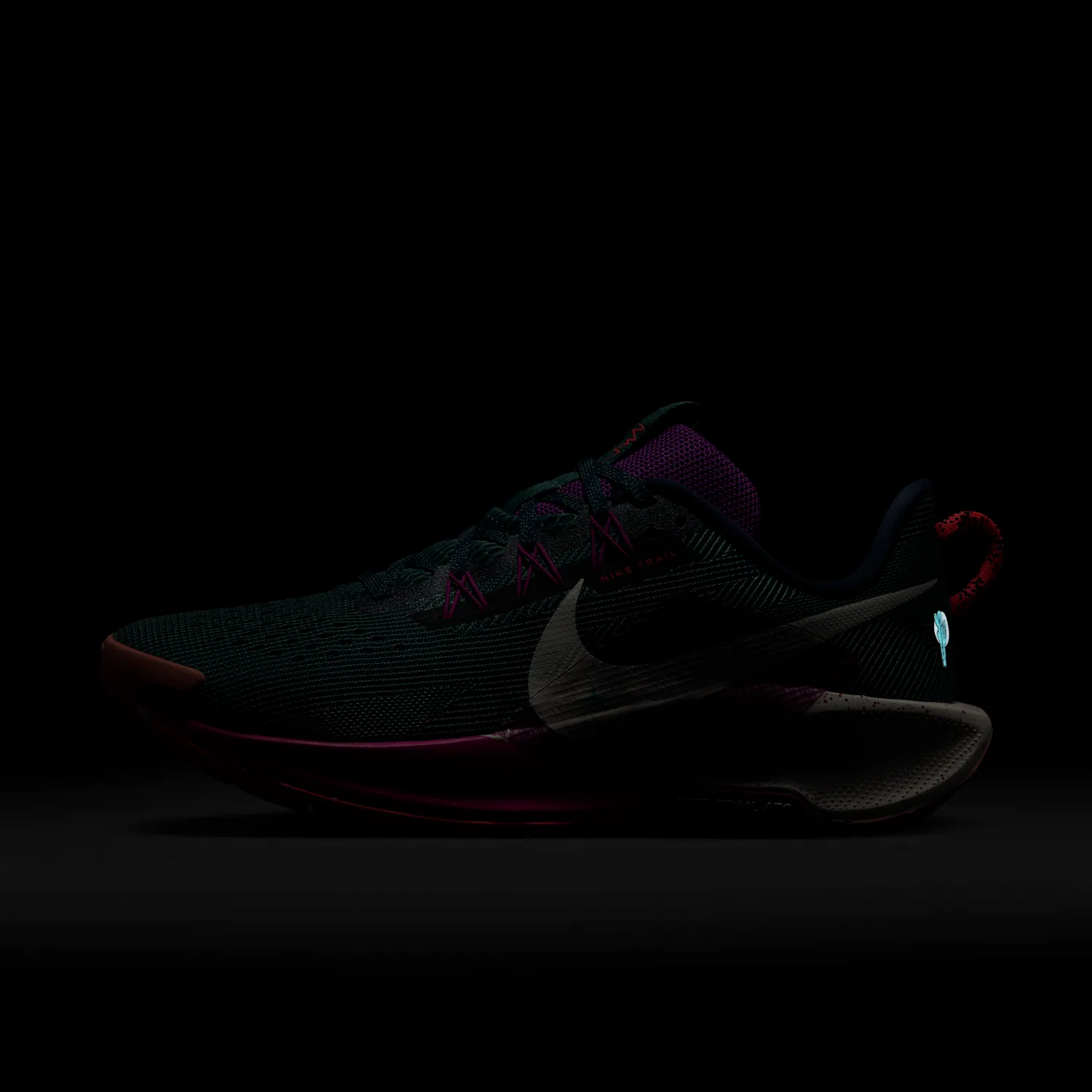 Nike Pegasus Trail 5 image 2