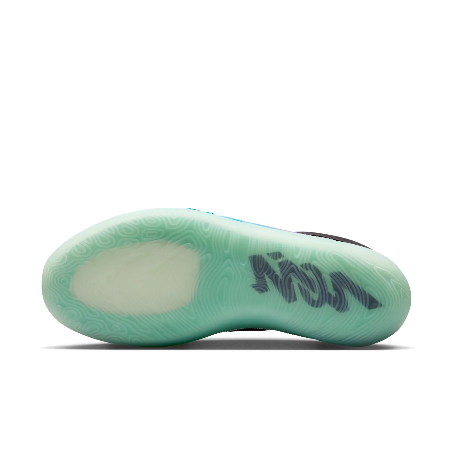 Zion 4 "Noah" image 2