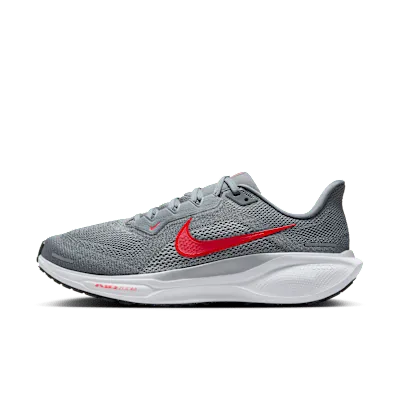 Nike Pegasus 41