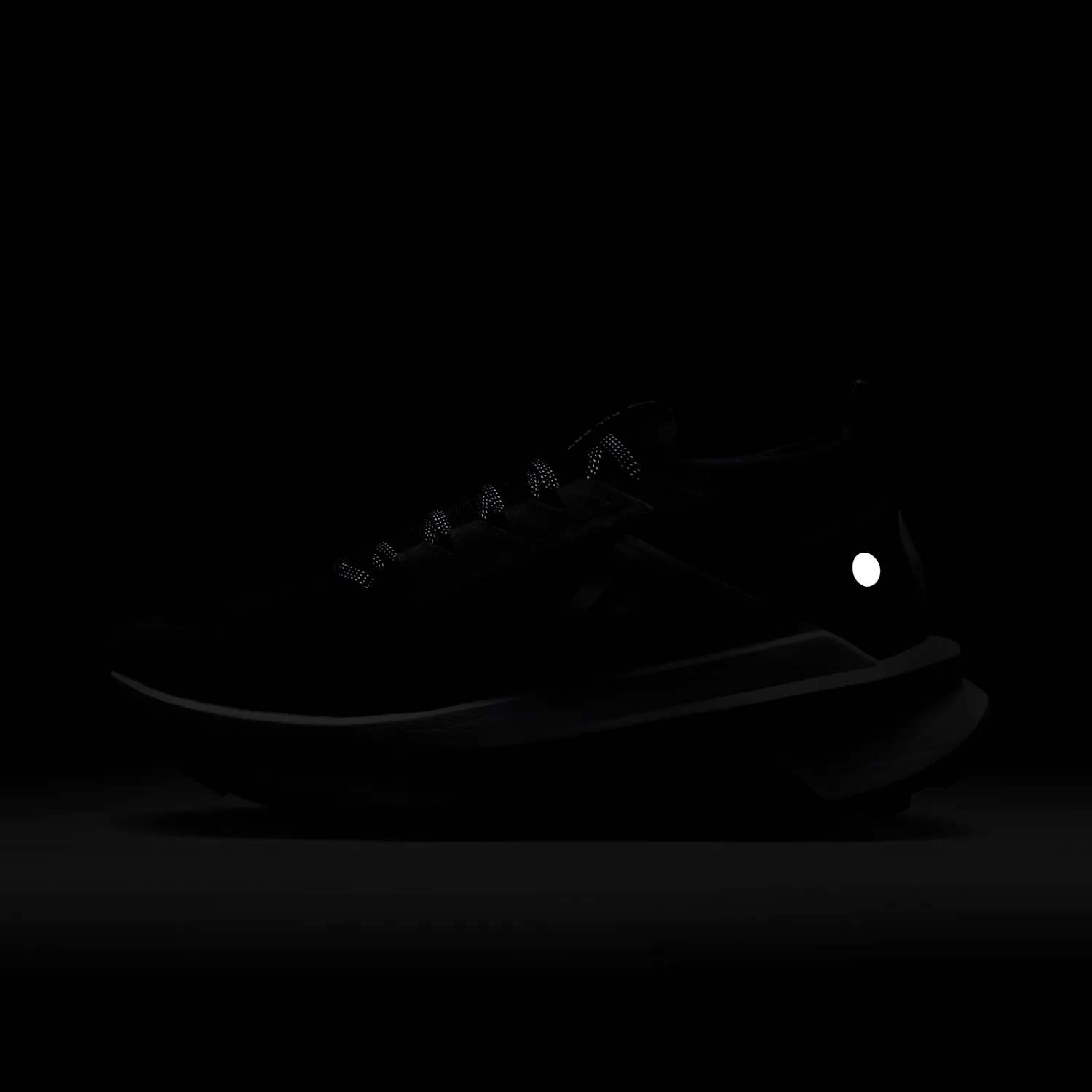 Nike Zegama 2 image 12