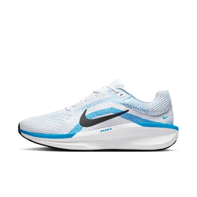 Nike Winflo 11