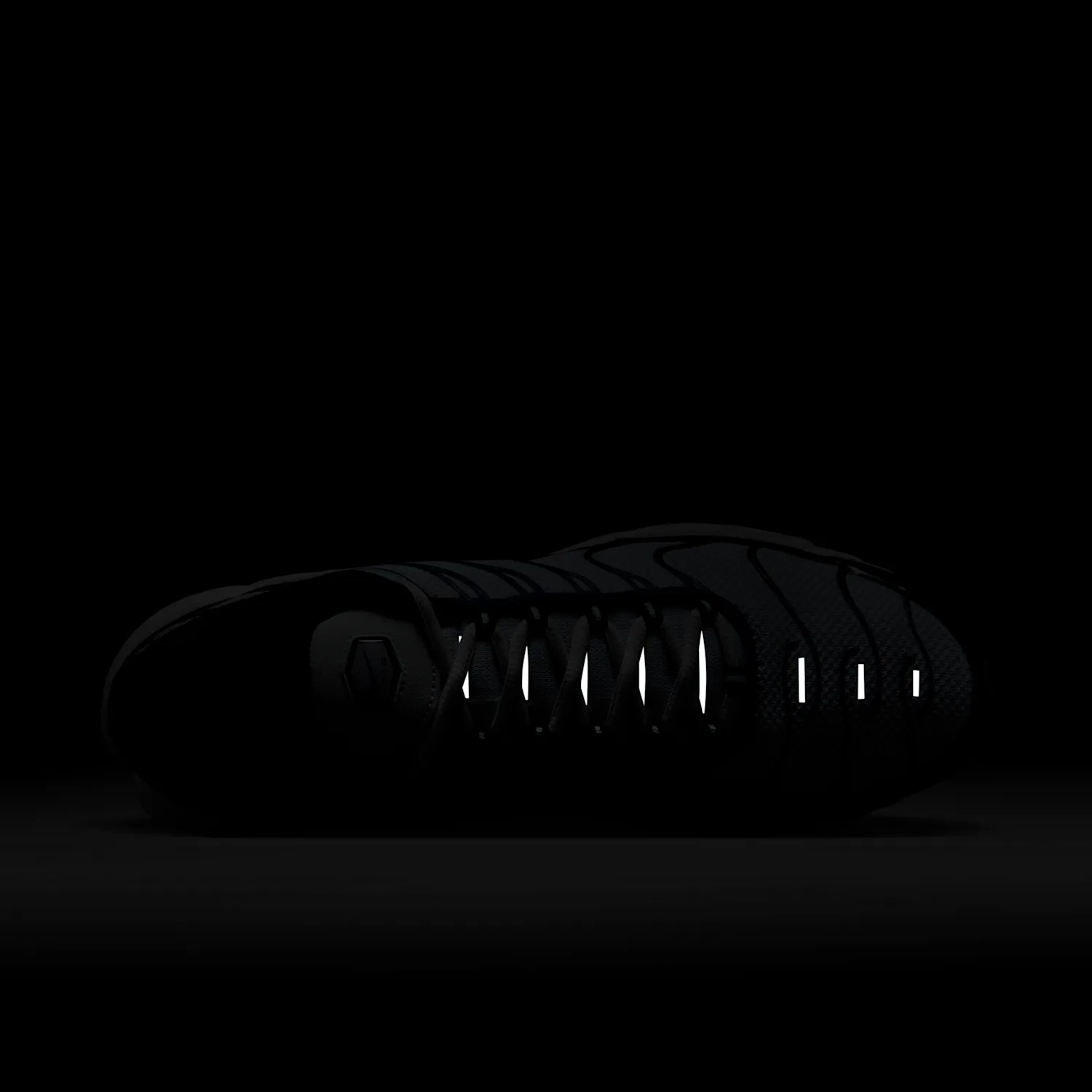 Nike Air Max Plus image 9