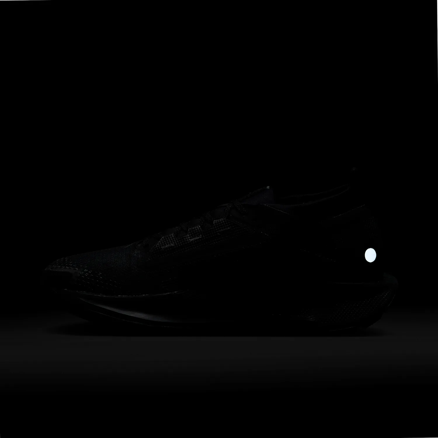 Nike Pegasus Trail 5 GORE-TEX image 10