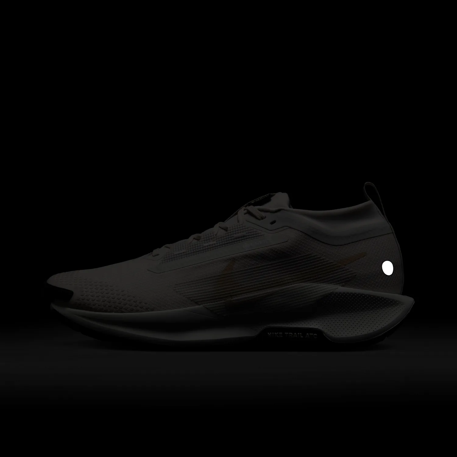 Nike Pegasus Trail 5 GORE-TEX image 2