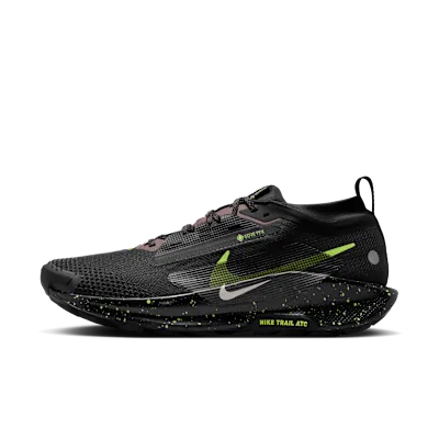 Nike Pegasus Trail 5 GORE-TEX