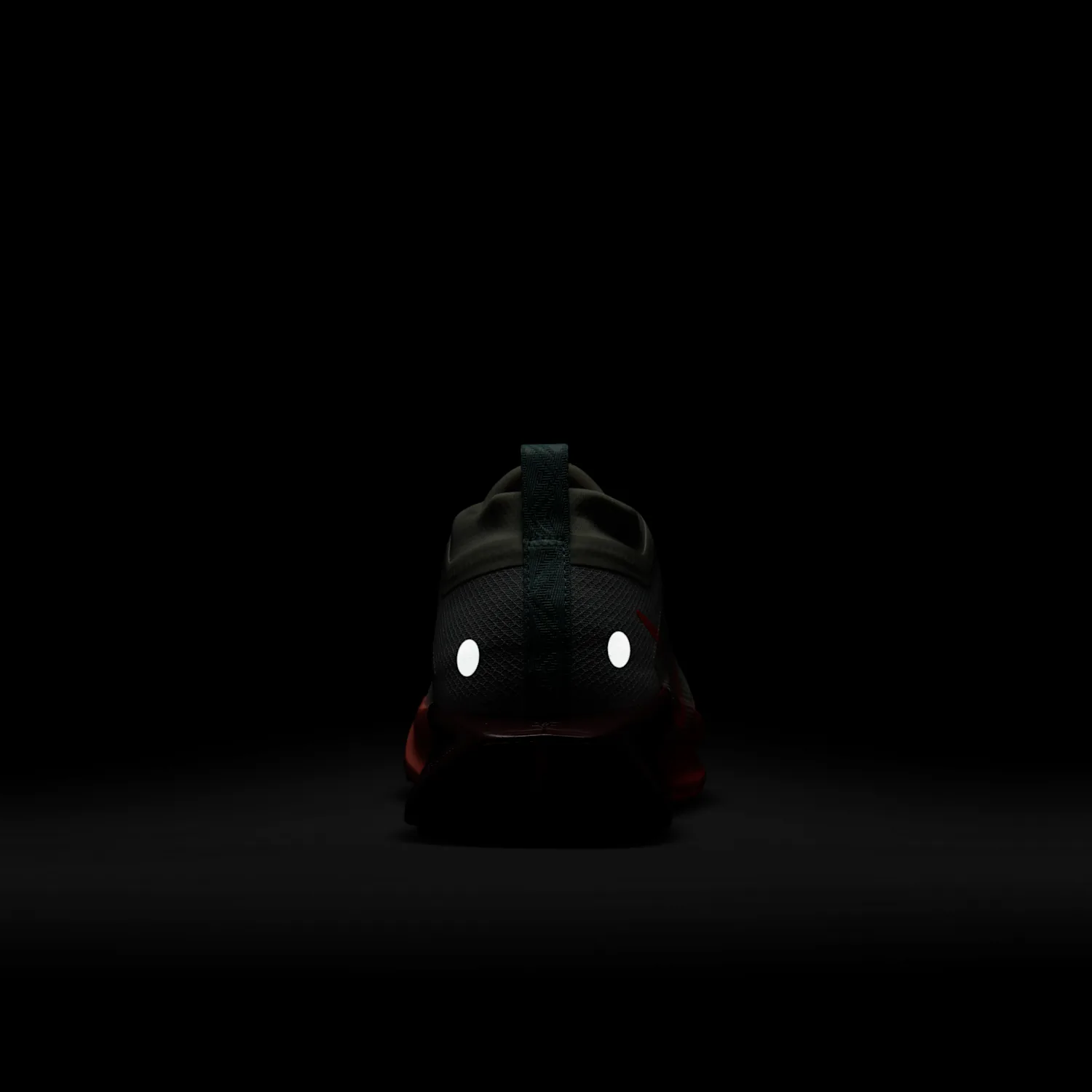 Nike Pegasus Trail 5 GORE-TEX image 9