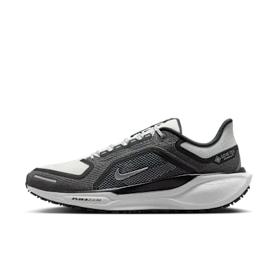 Nike Pegasus 41 GORE-TEX