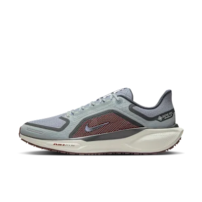 Nike Pegasus 41 GORE-TEX