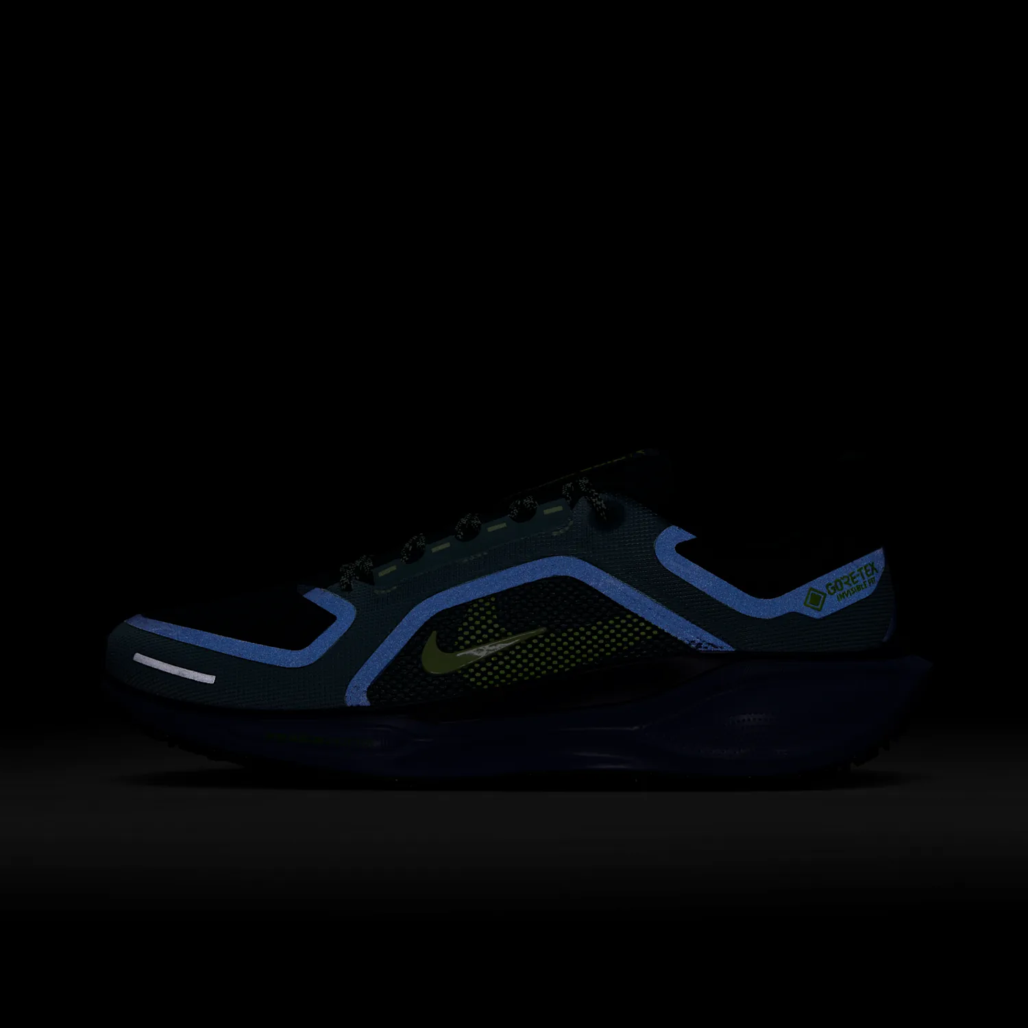 Nike Pegasus 41 GORE-TEX image 9