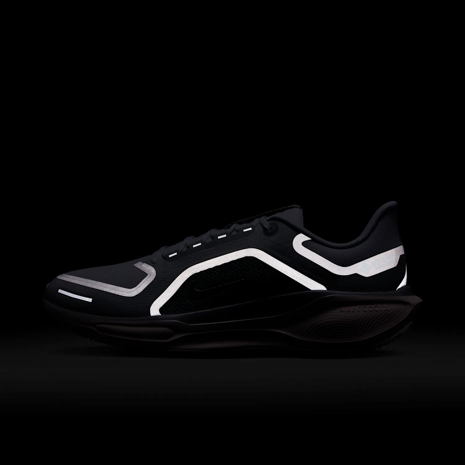 Nike Pegasus 41 GORE-TEX image 9