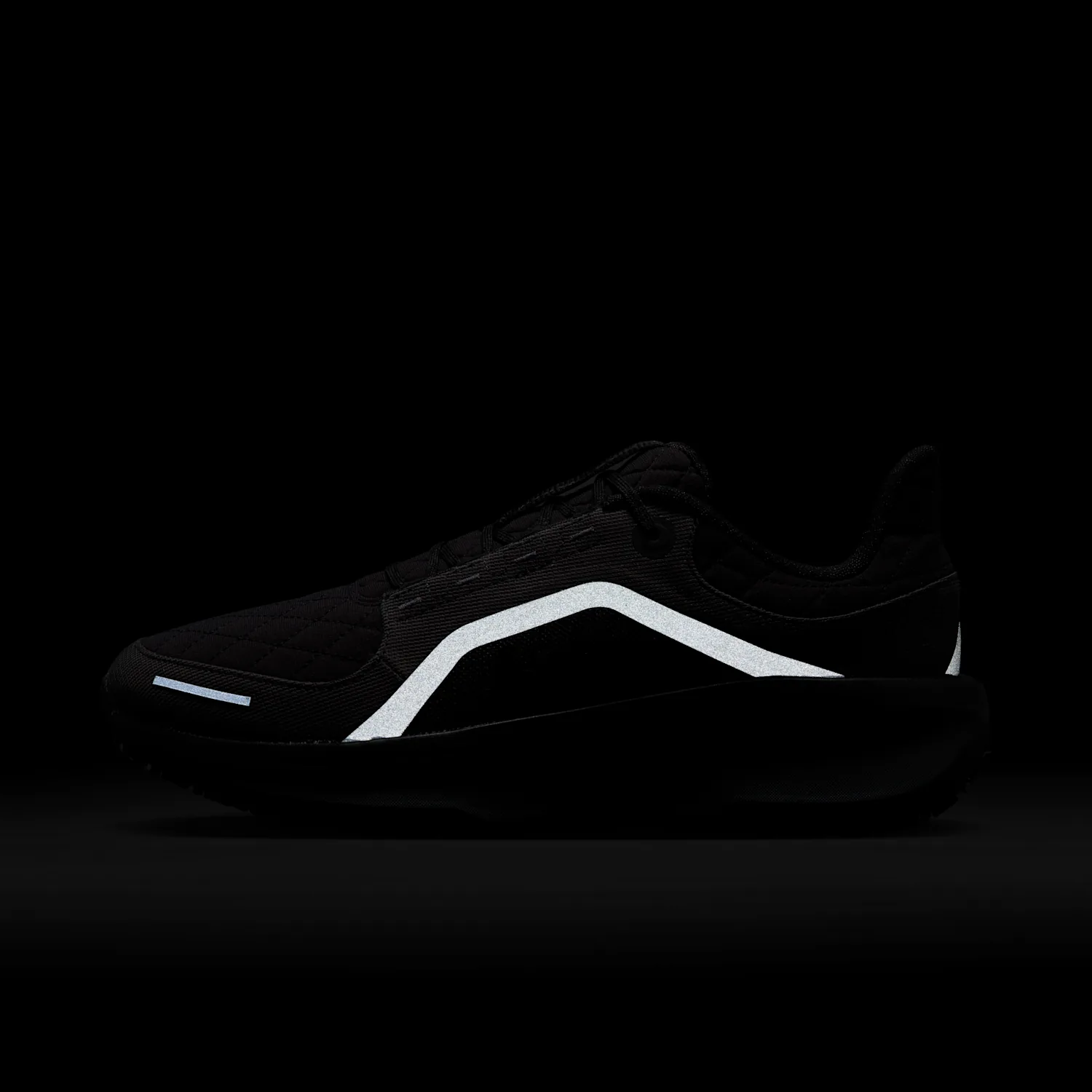 Nike Winflo 11 GORE-TEX image 10