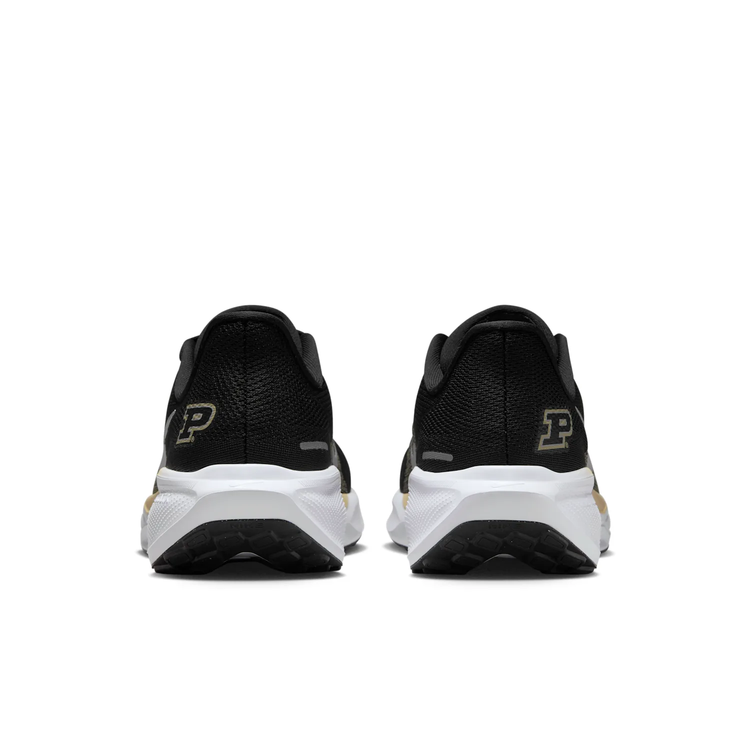 Purdue Pegasus 41 image 6