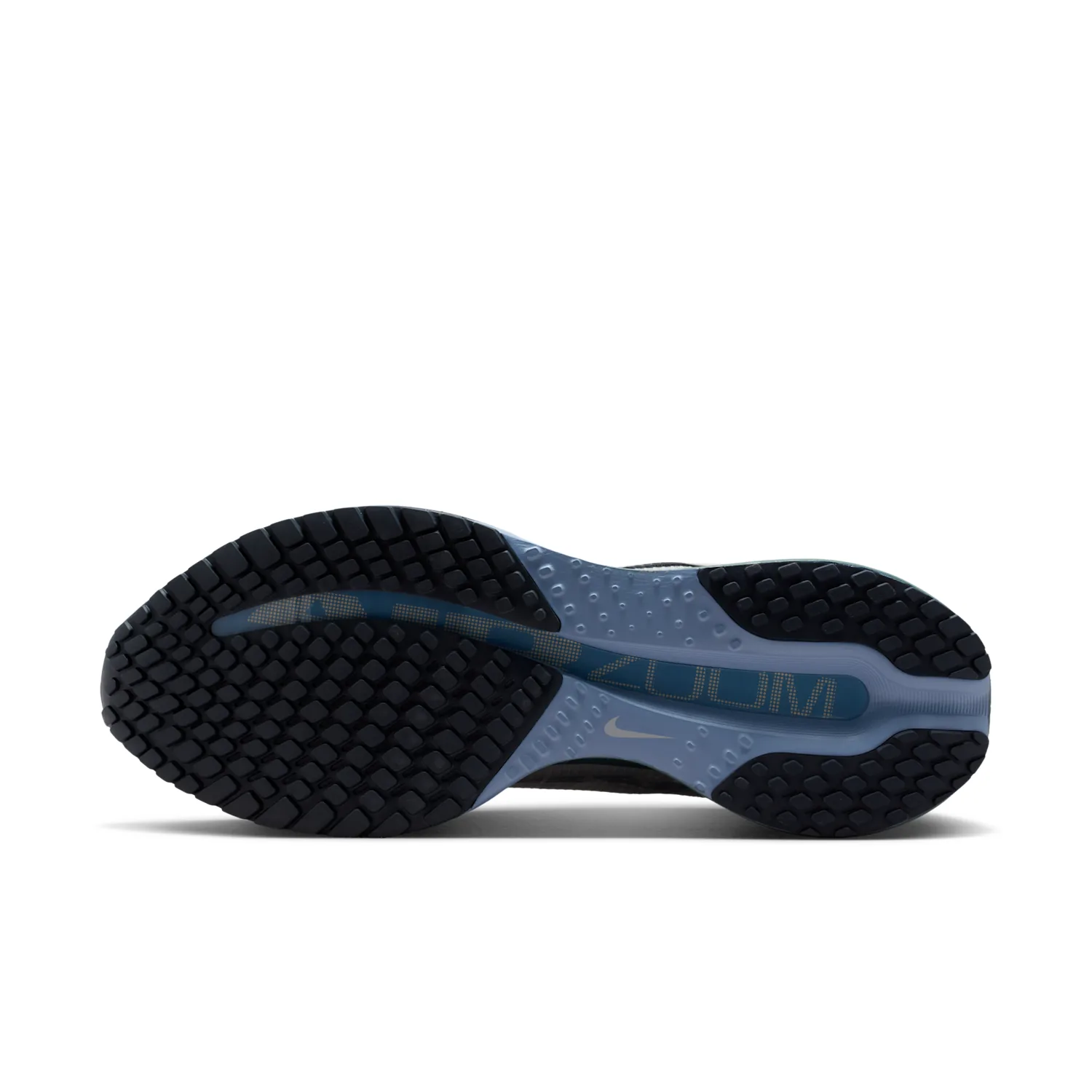 Nike Pegasus Premium image 2