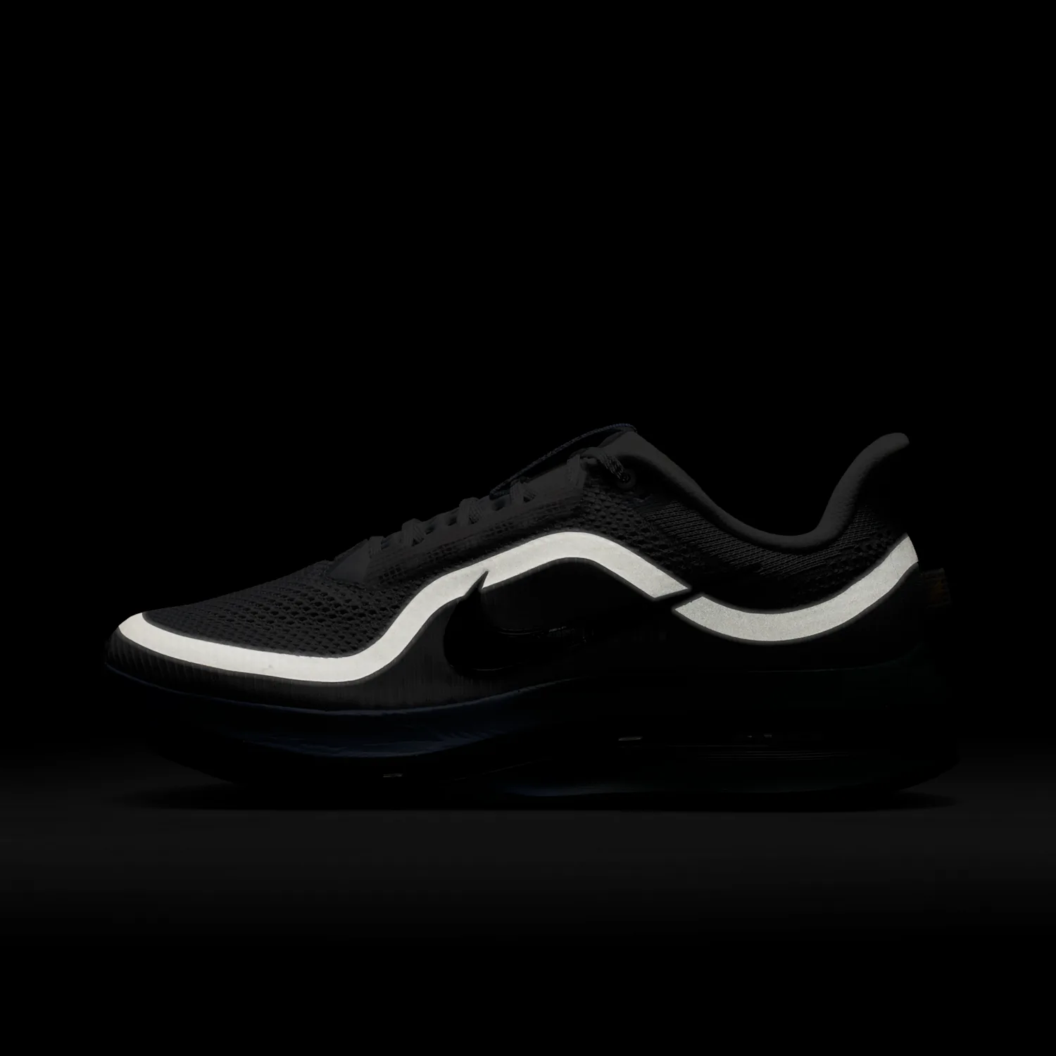 Nike Pegasus Premium image 9