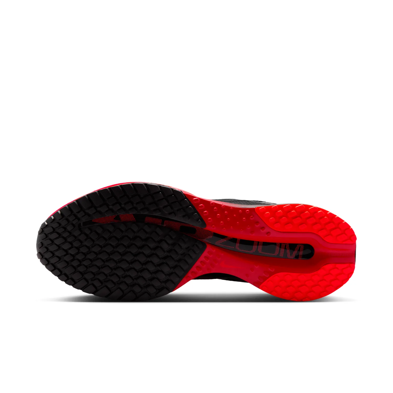 Nike Pegasus Premium image 2