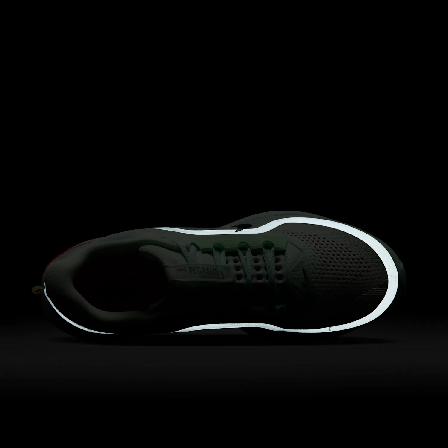 Nike Pegasus Premium image 9