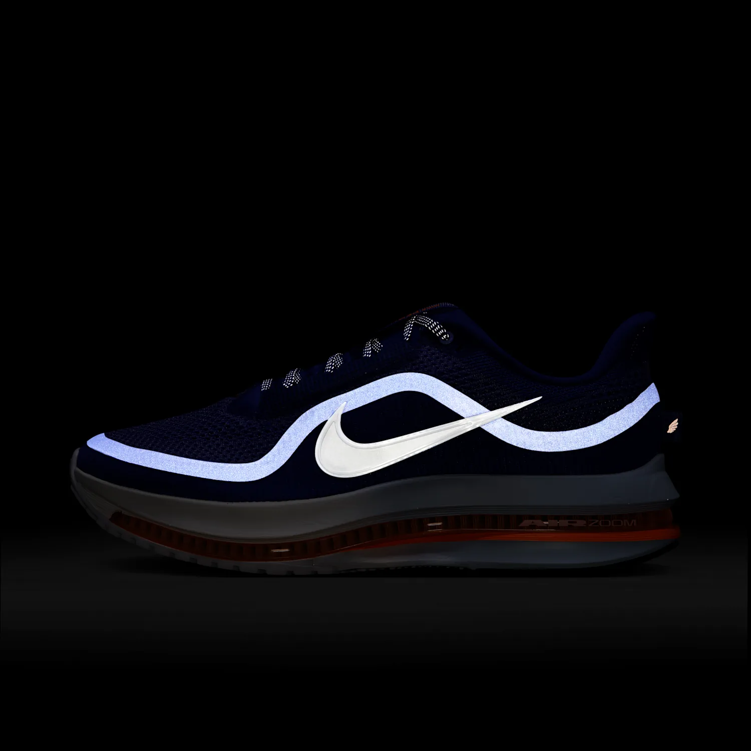 Nike Pegasus Premium image 9