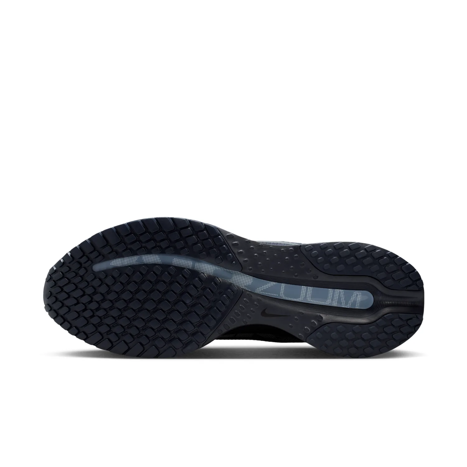 Nike Pegasus Premium image 2