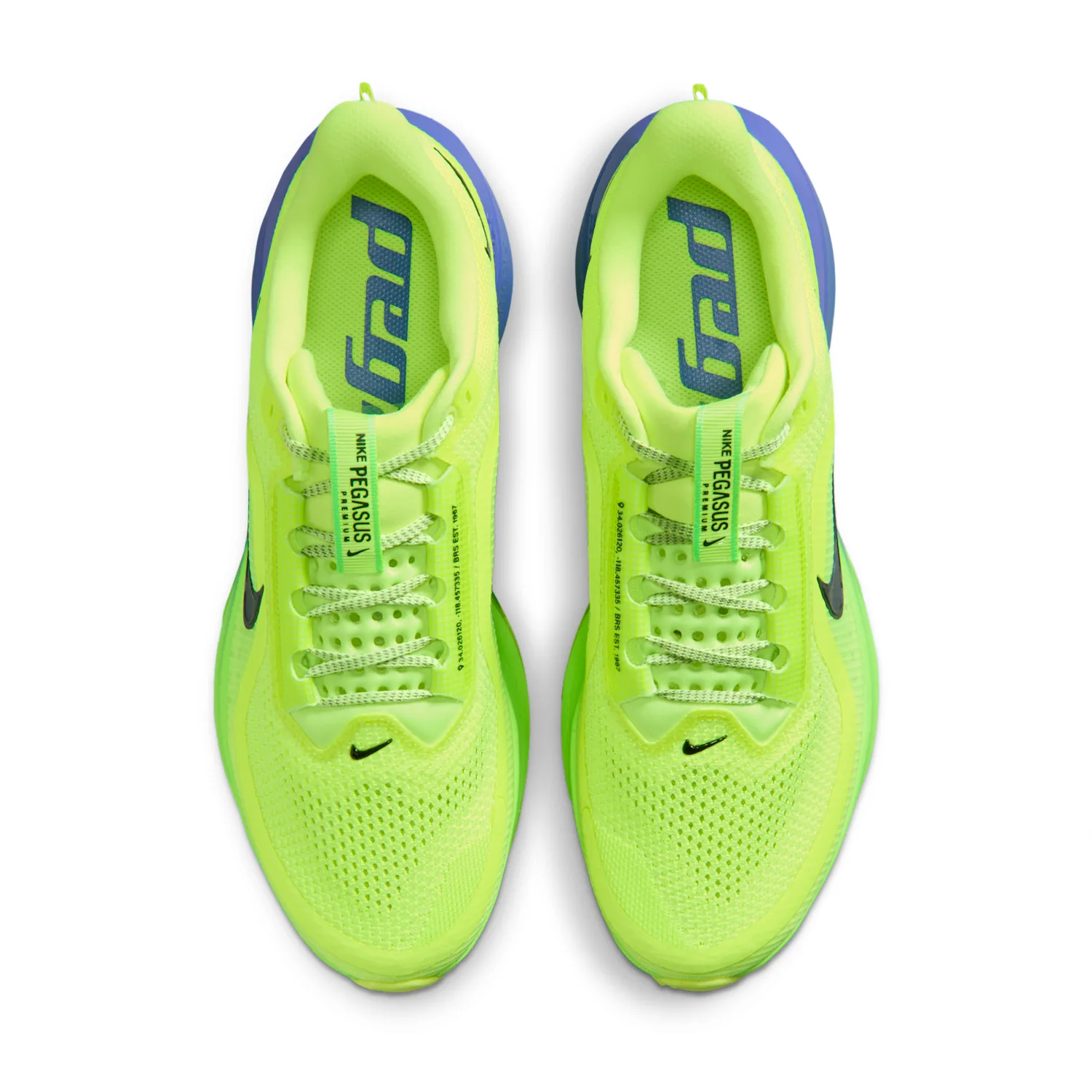 Nike Pegasus Premium image 4