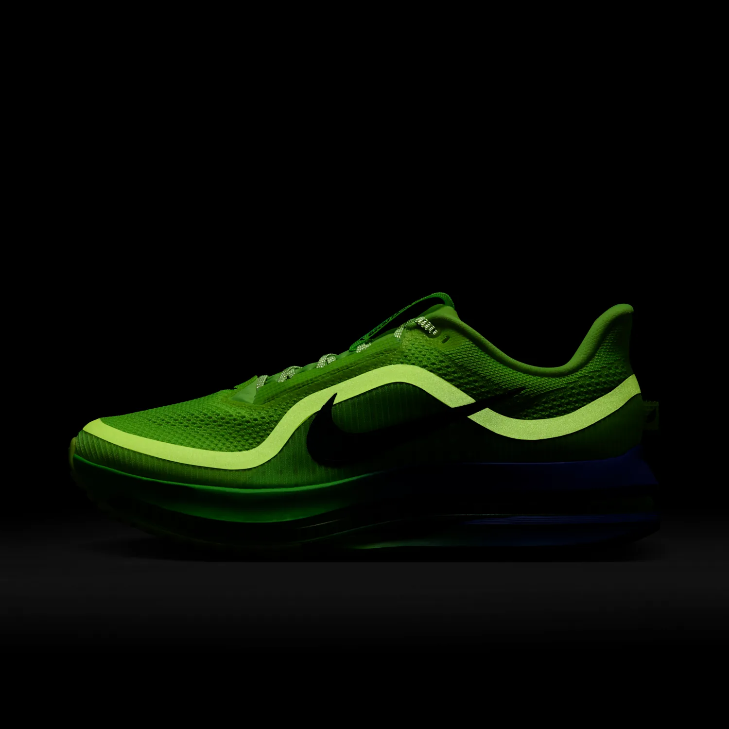 Nike Pegasus Premium image 9