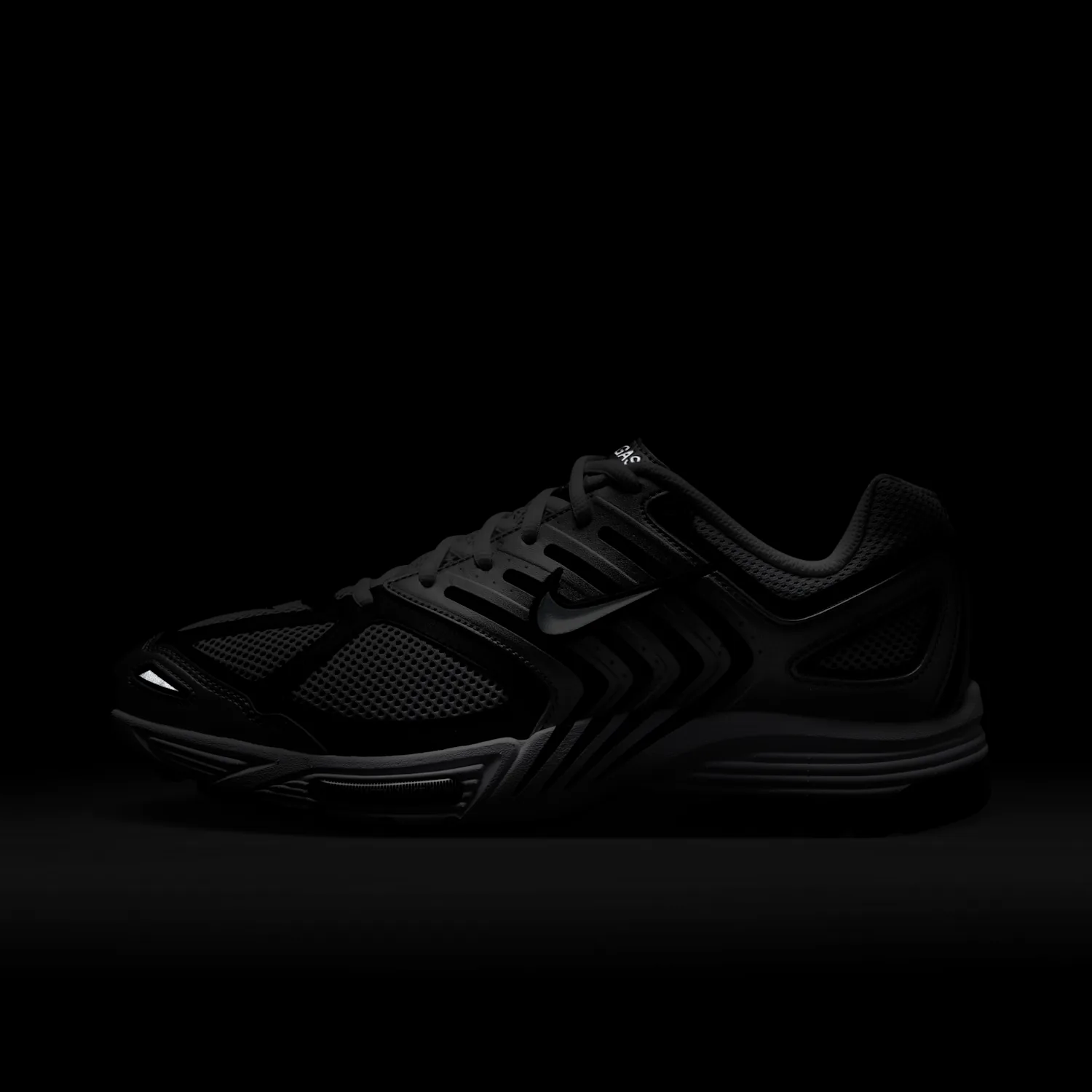 Nike Air Pegasus 2005 image 2