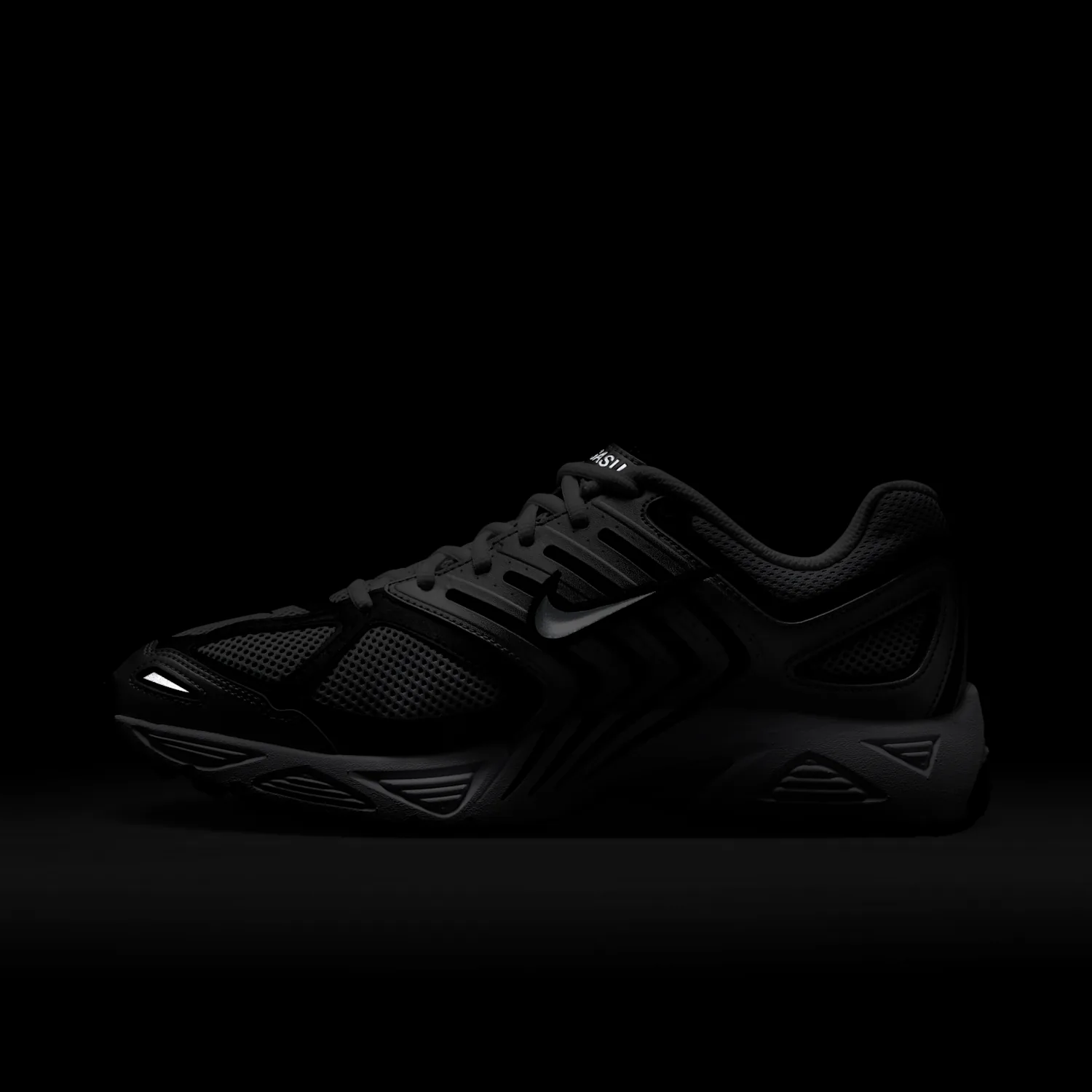 Nike Air Pegasus 2005 image 3