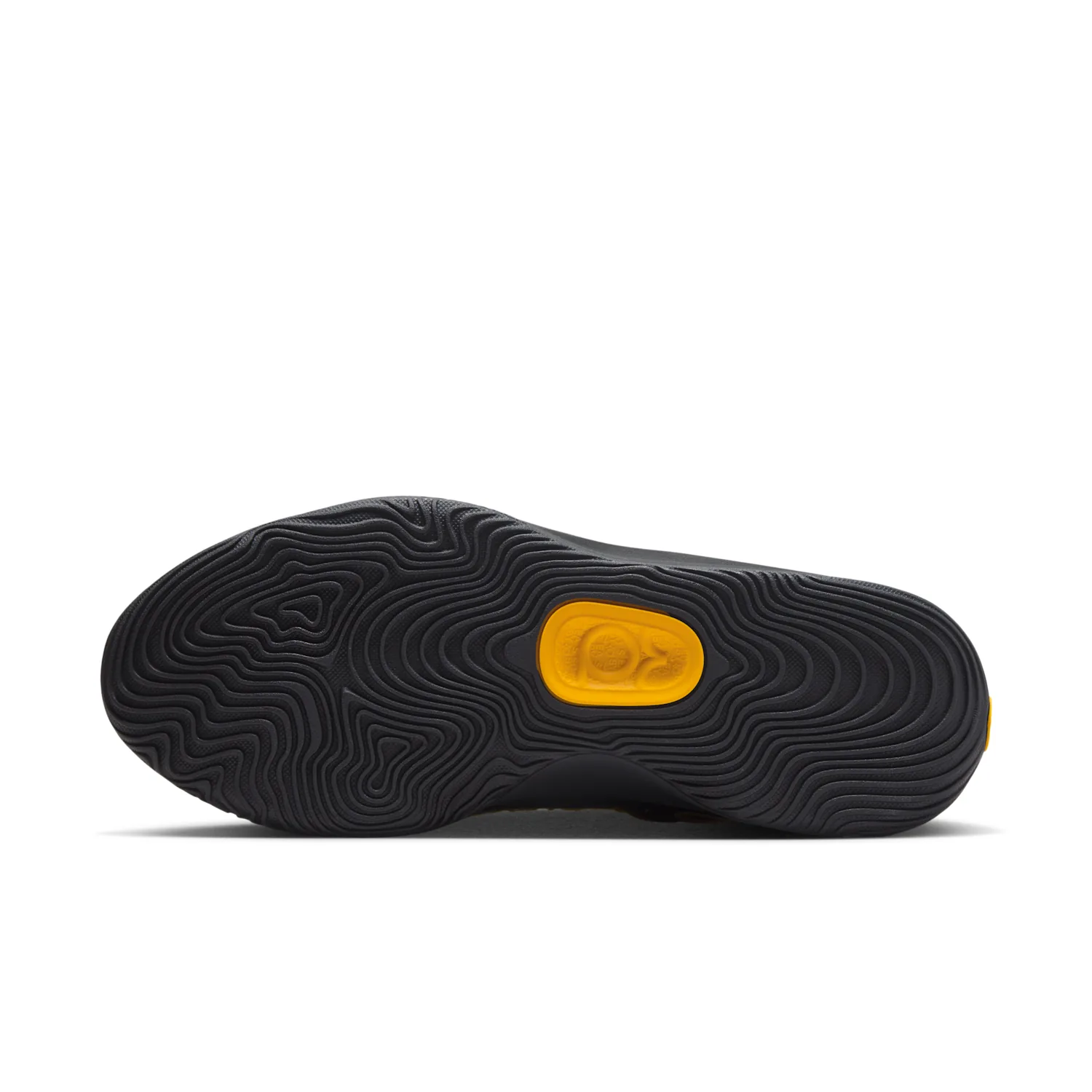 KD18 "New Dawn" image 2