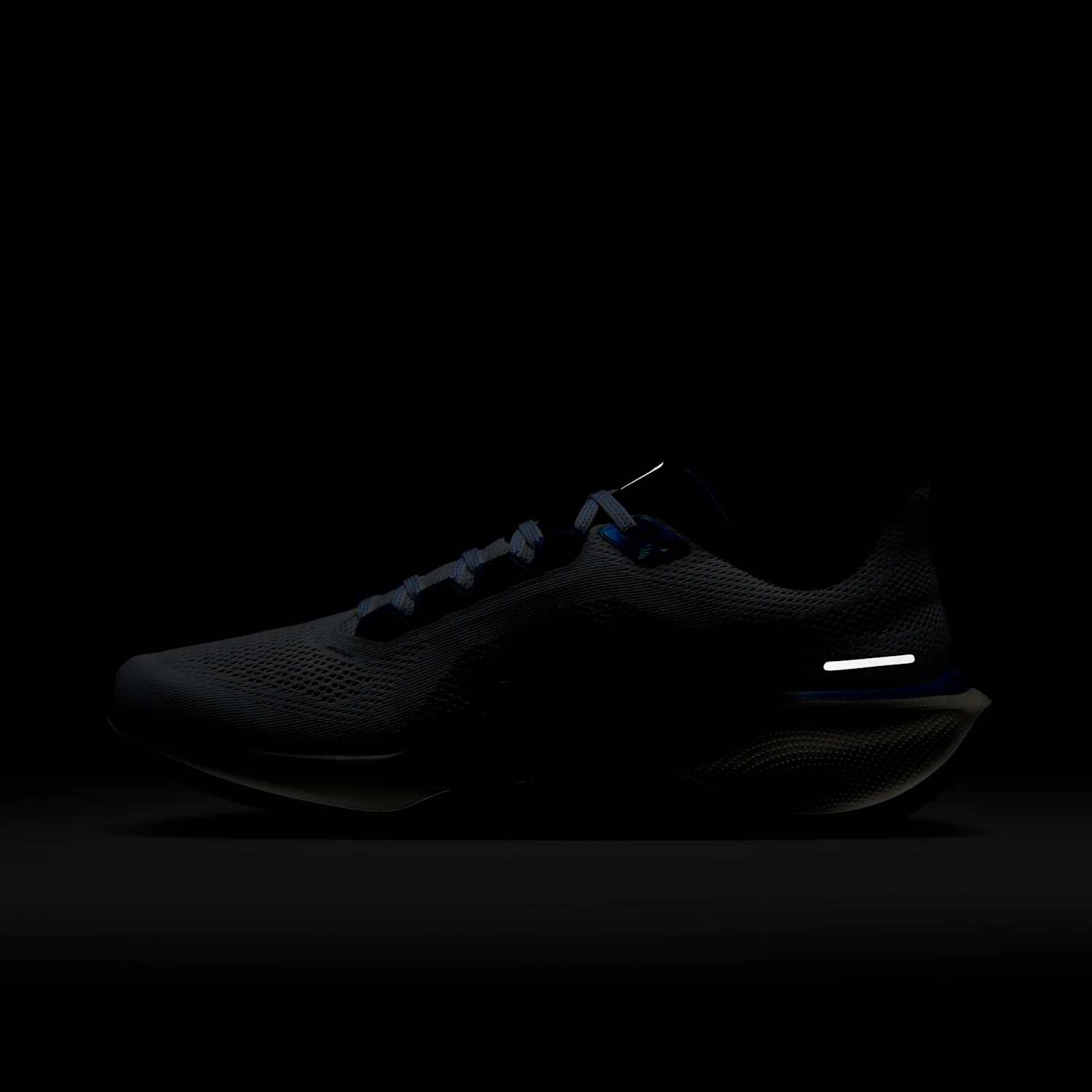 Nike Pegasus 41 image 4