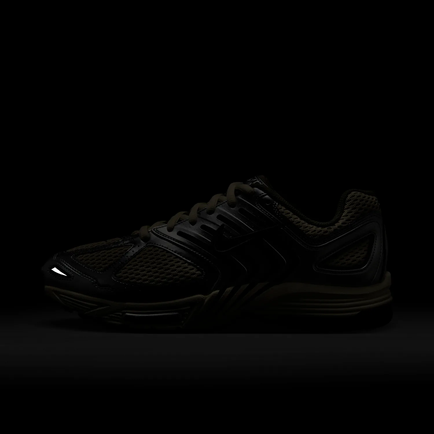 Nike Air Pegasus 2005 image 3