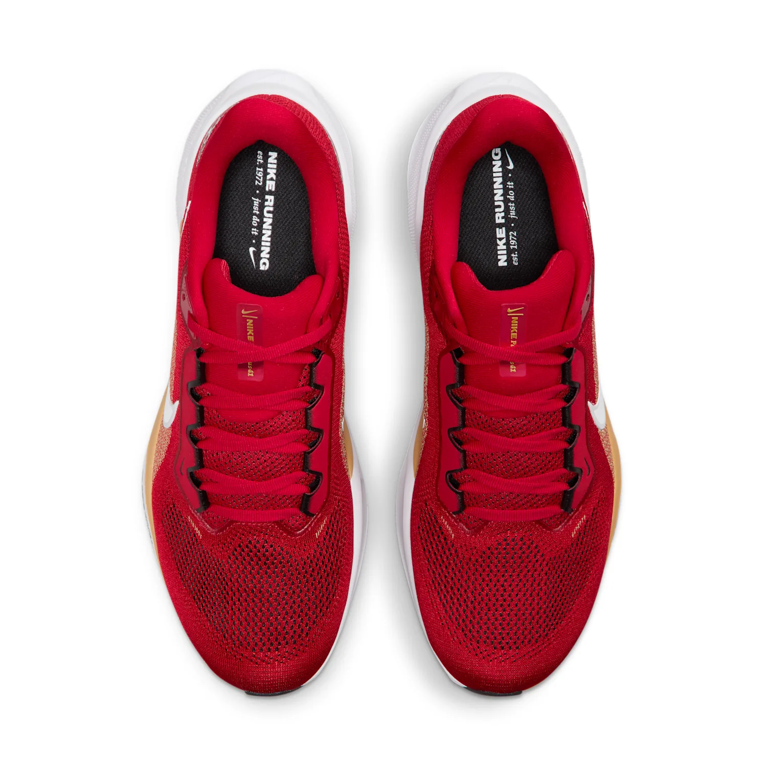 San Francisco 49ers Pegasus 41 image 4