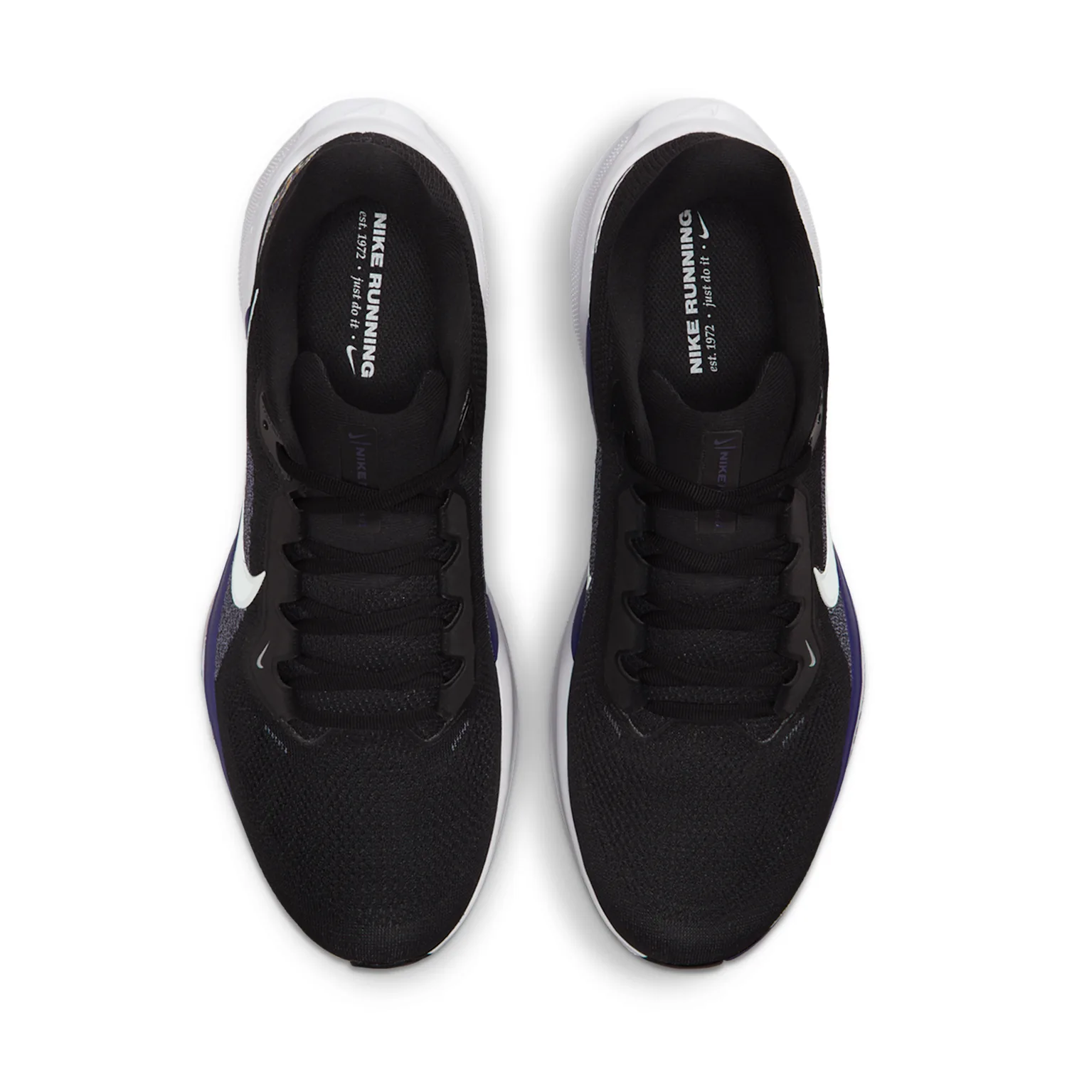 Baltimore Ravens Pegasus 41 image 4