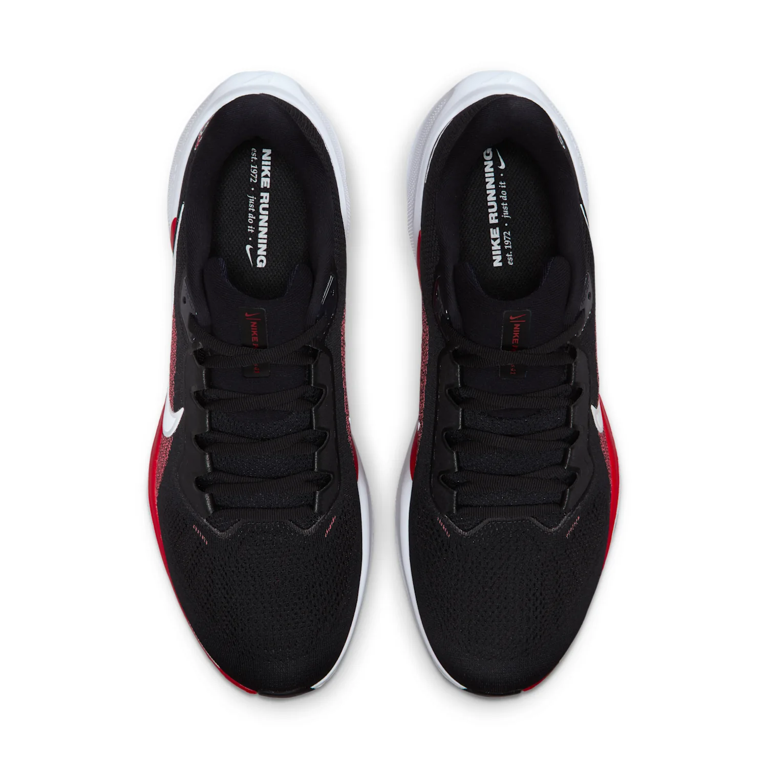 Houston Texans Pegasus 41 image 4