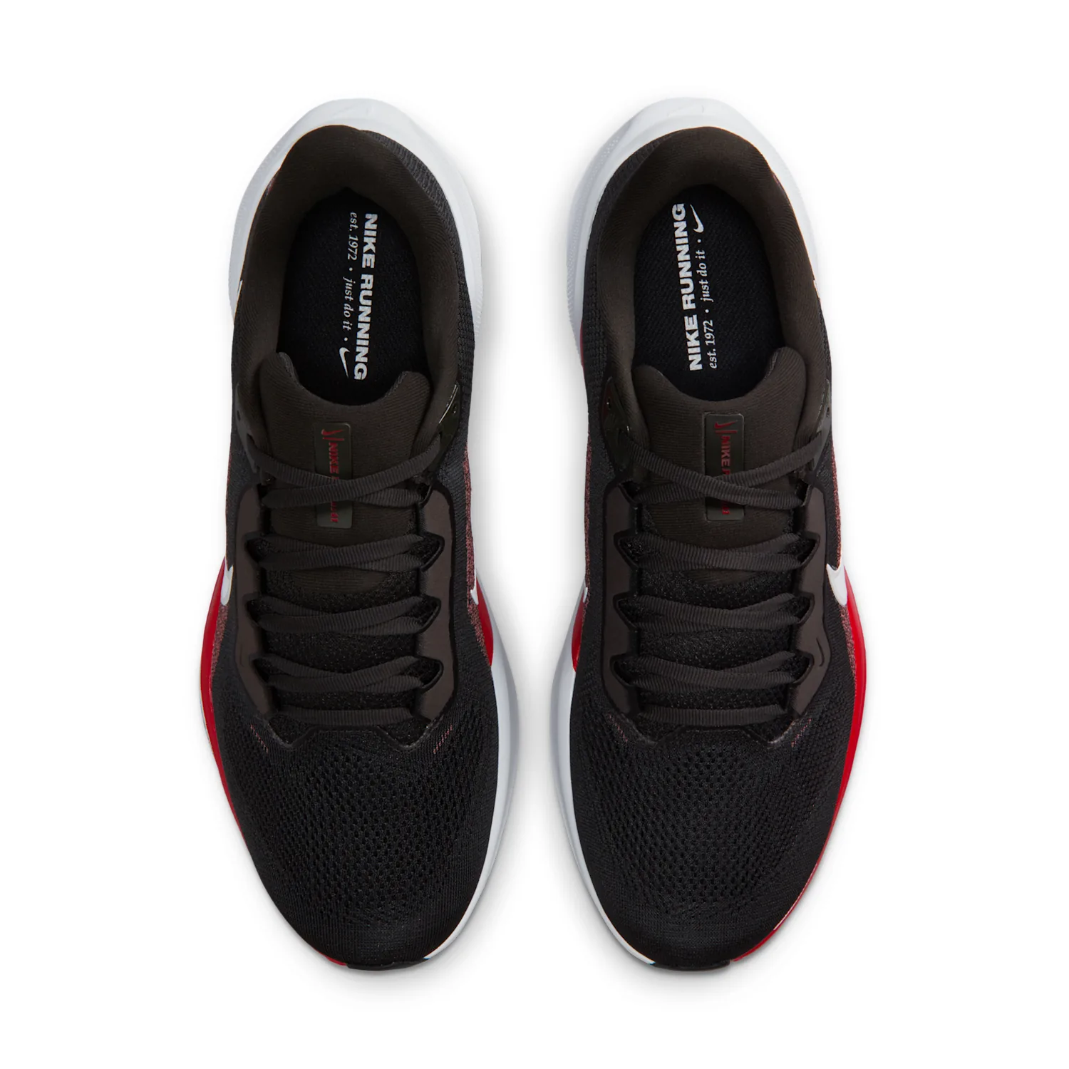 Tampa Bay Buccaneers Pegasus 41 image 4